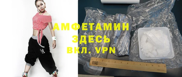 гидра Вязьма
