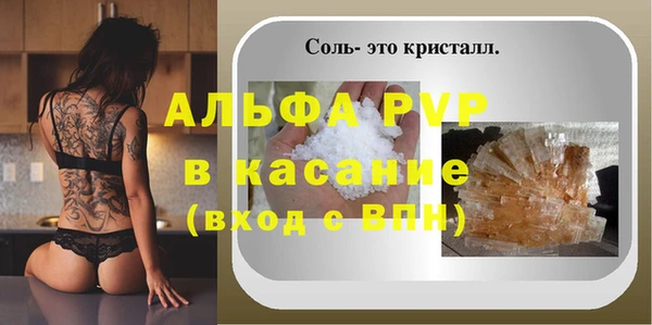 гидра Вязьма