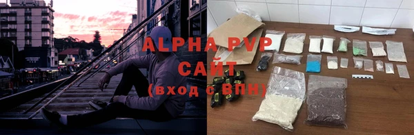 гидра Вязьма