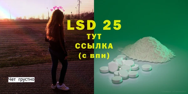 гидра Вязьма