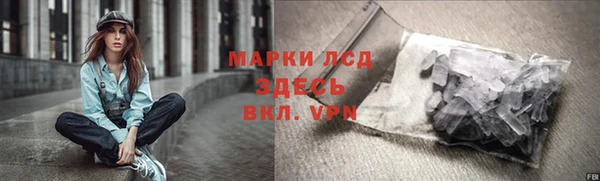 гидра Вязьма