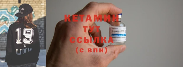 гидра Вязьма