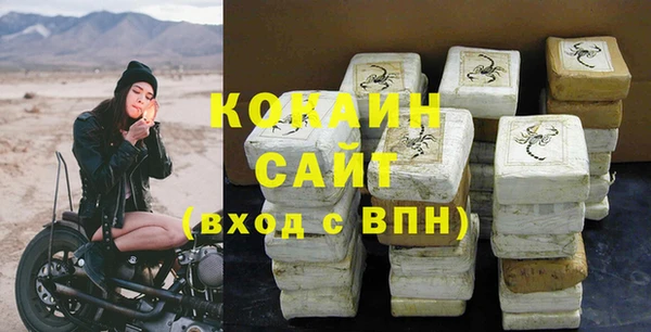 гидра Вязьма