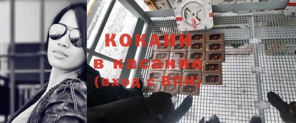 гидра Вязьма