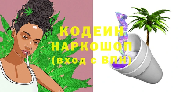 гидра Вязьма