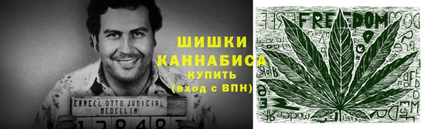 ECSTASY Вяземский