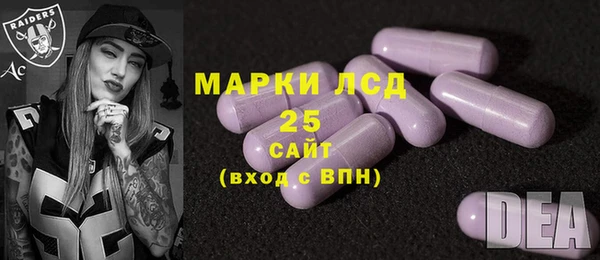 гидра Вязьма