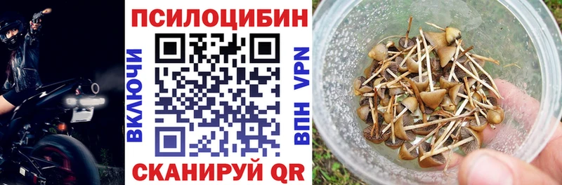 Галлюциногенные грибы мицелий  Купить закладки  Богородицк 